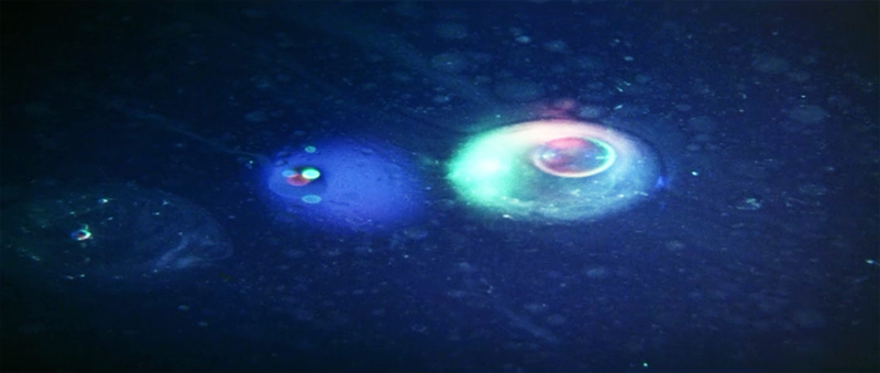 Illustration for article titled What We Really Want From a Television Version of Barbarella